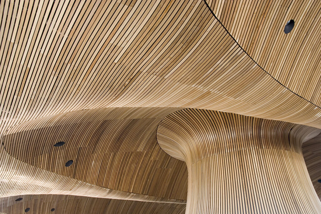The ceiling of the Welsh Assembly building, made from sustainable timber