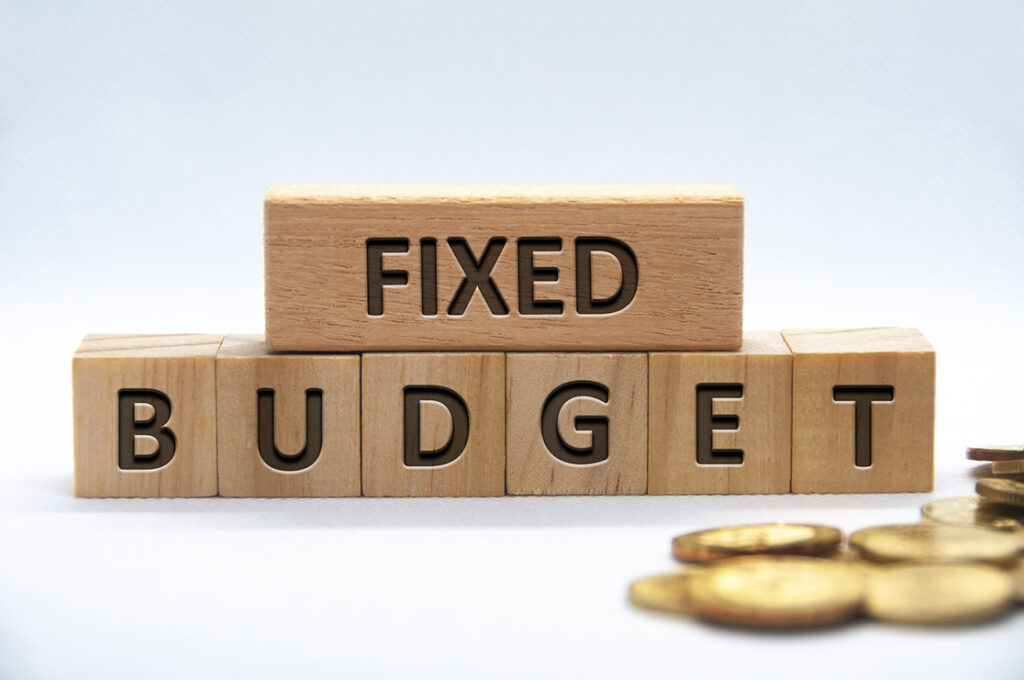 Fixed budget text engraved on wooden blocks on white background cover. Business and budgeting concept.